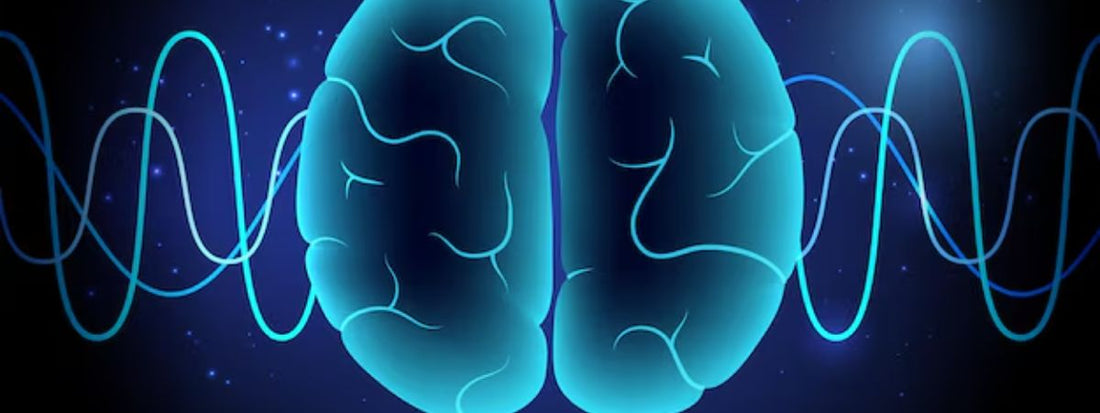 As 4 Fases do Sono: O Que Acontece no Seu Cérebro Enquanto Você Dorme?